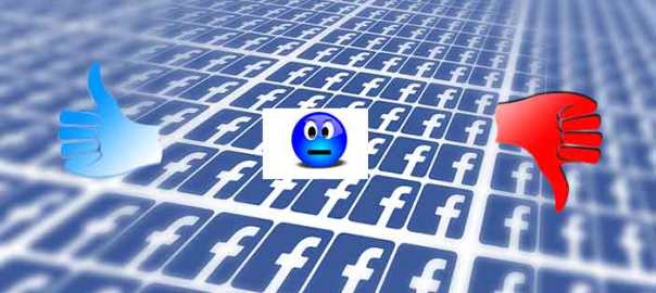 Facebook möchte durch das disliken, also dem „Gefällt mir nicht“-, und dem „Don´t Care“-, also dem „Sosolala“-Button, mehr Emotionen in ihr Netzwerk bekommen.